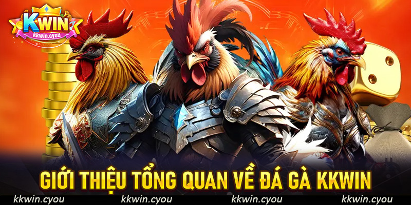 Giới thiệu tổng quan về đá gà KKWIN